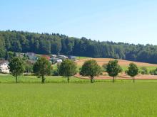 Gemeinde Holziken